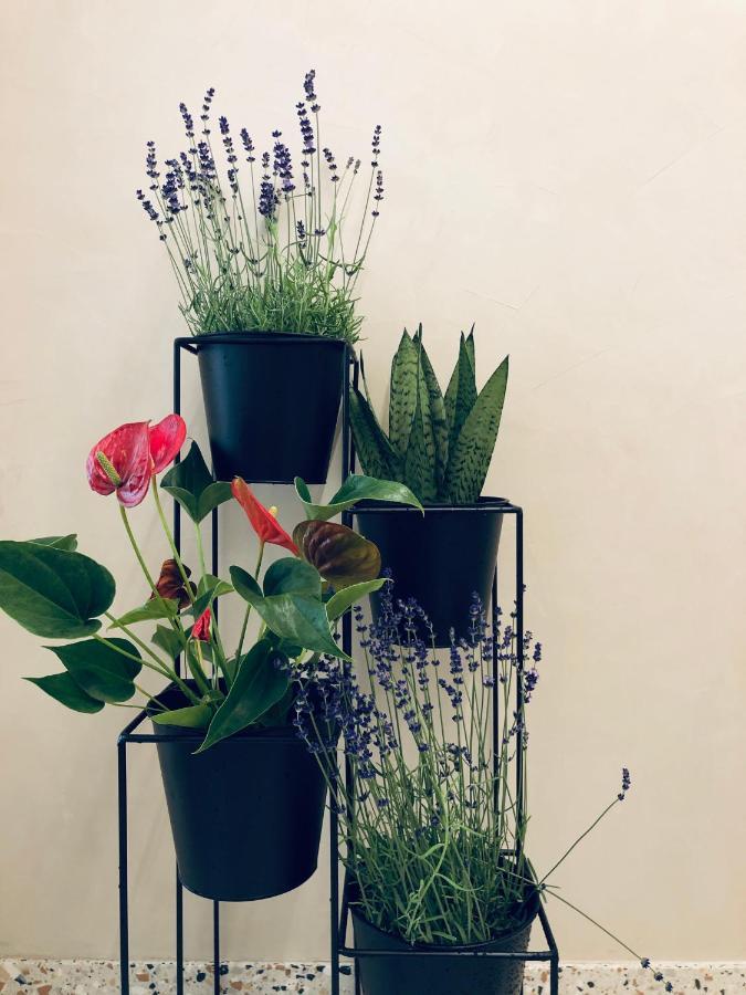 Suites Le Porte-Bonheur 브뤼헤 외부 사진